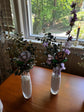 Botanical Plant Stakes PRE ORDER